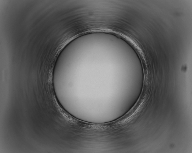 X0000100930905200806241135