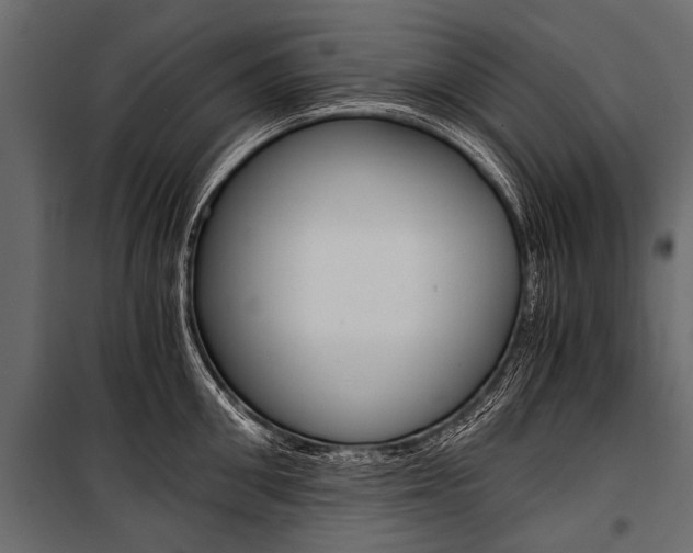 X0000100930906200806241135