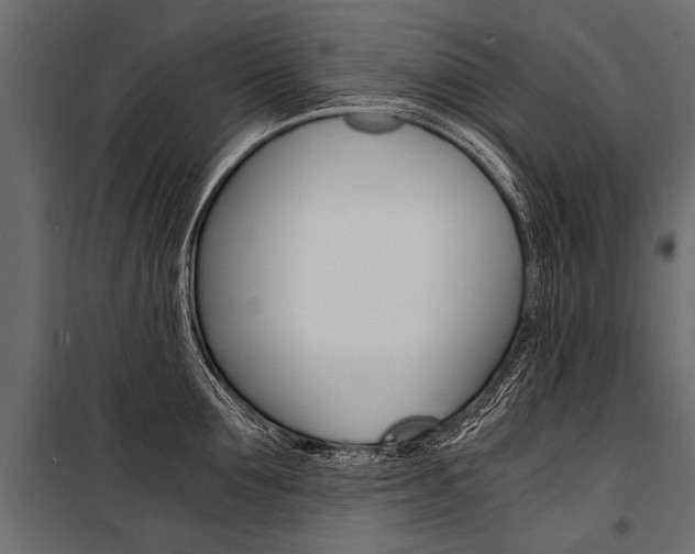 X0000100930907200806241135