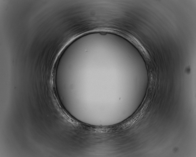 X0000100930908200806241135