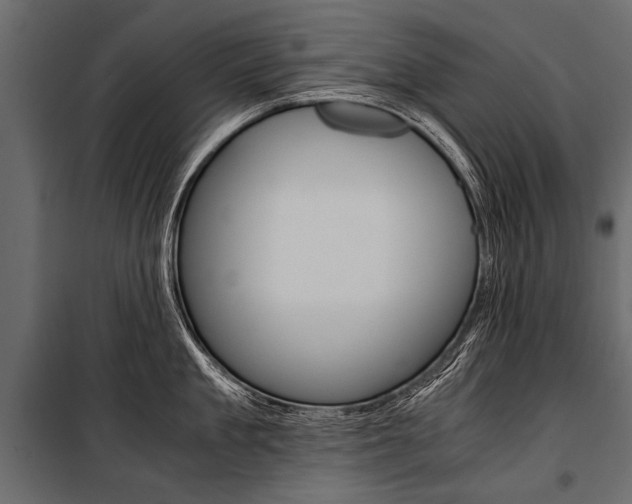 X0000100930909200806241135