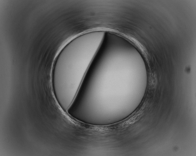 X0000100930910200806241135