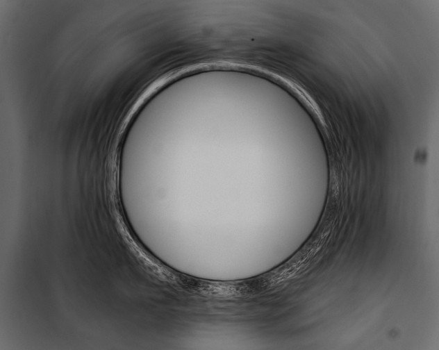 X0000100930911200806241135