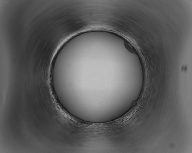 X0000100930912200806241134