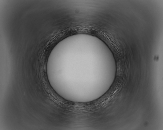 X0000100930913200806241134