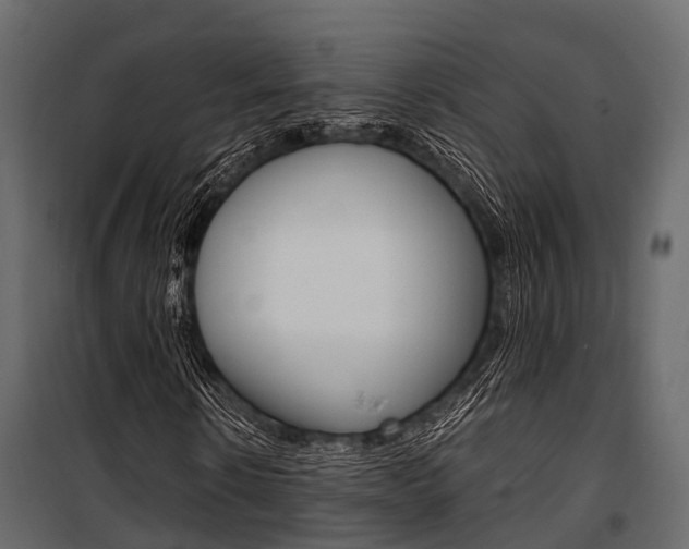 X0000100930914200806241134