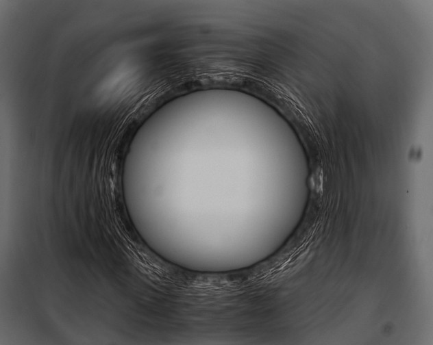 X0000100930915200806241134