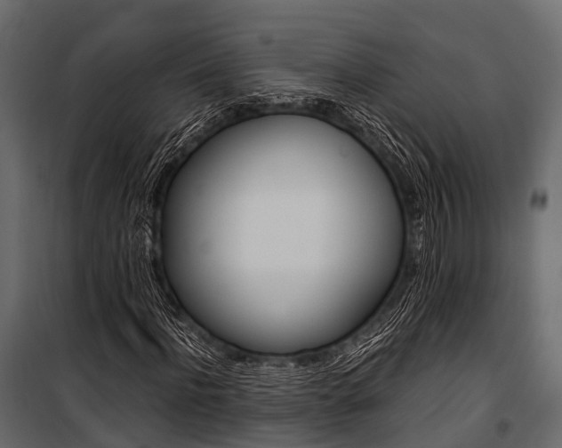 X0000100930916200806241134