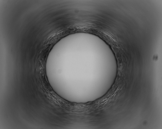 X0000100930917200806241134