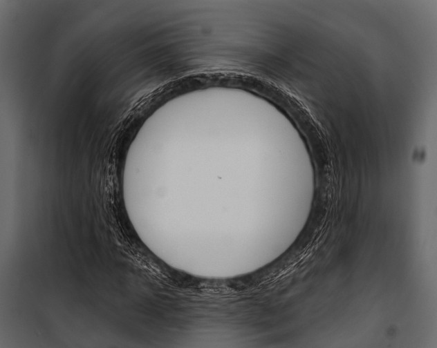 X0000100930918200806241134