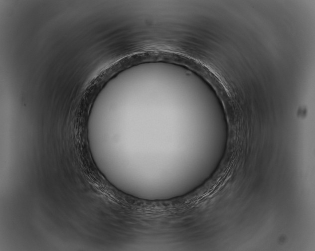 X0000100930919200806241134