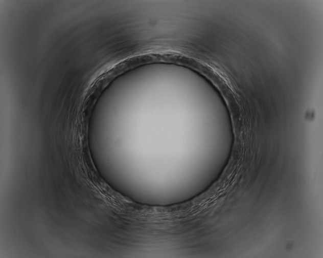 X0000100930920200806241134