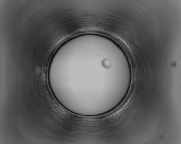 X0000100930921200806241134