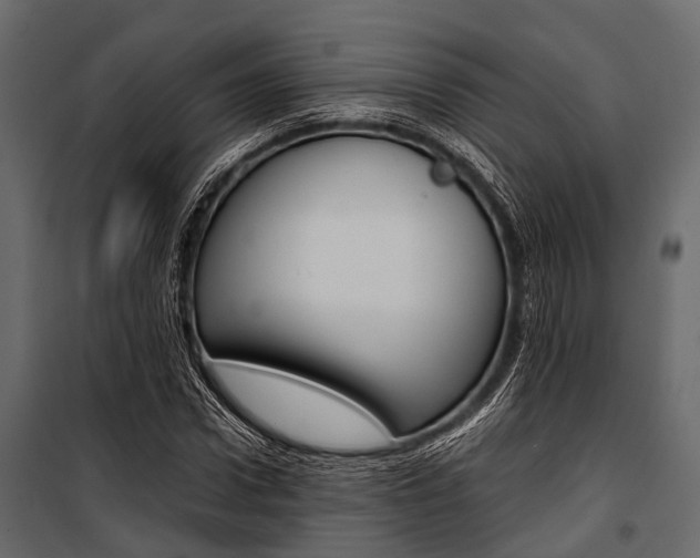 X0000100930922200806241134