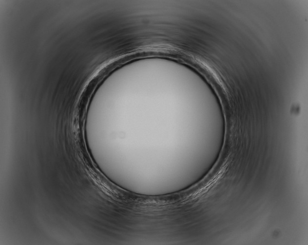 X0000100930923200806241134