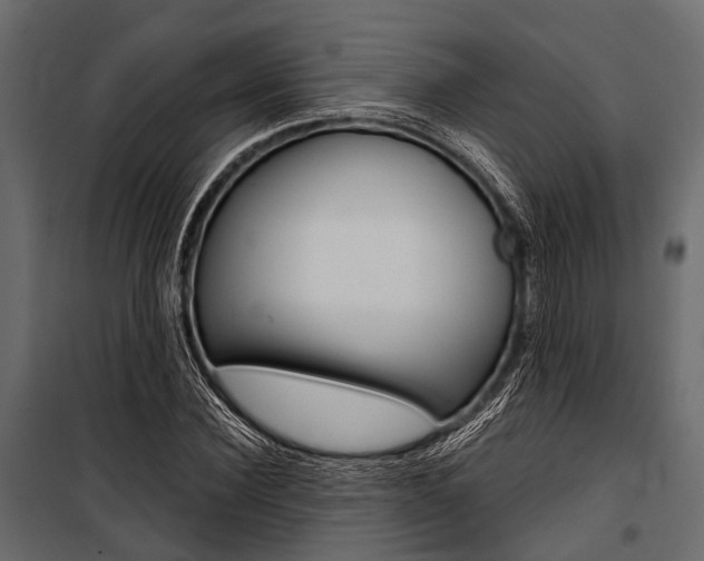 X0000100930924200806241134