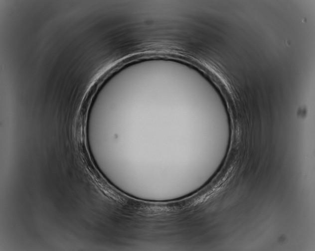 X0000100930925200806241134