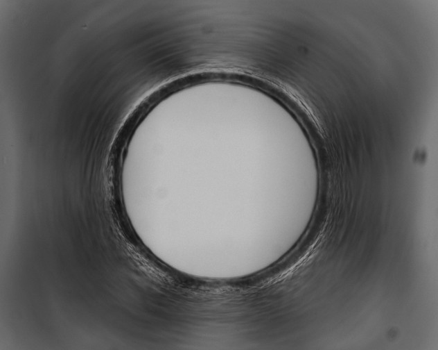 X0000100930926200806241134