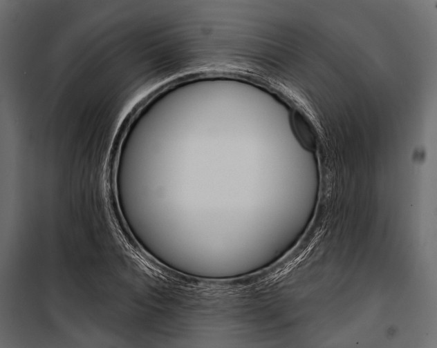 X0000100930928200806241134