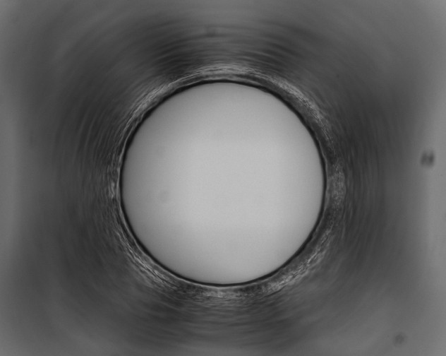 X0000100930929200806241134