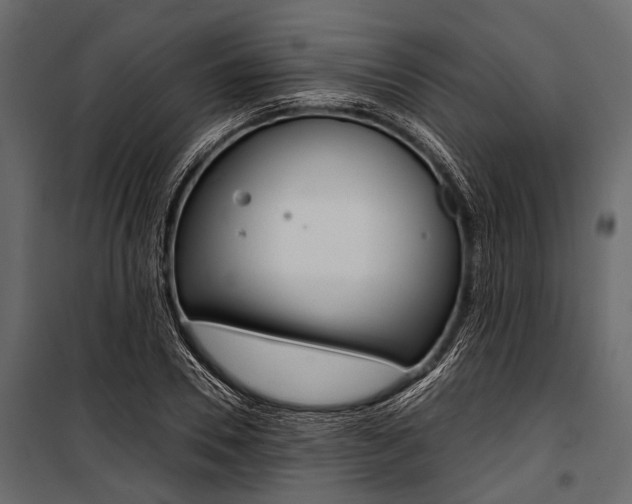 X0000100930930200806241134