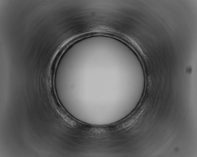 X0000100930931200806241134