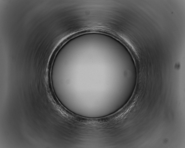 X0000100930932200806241134