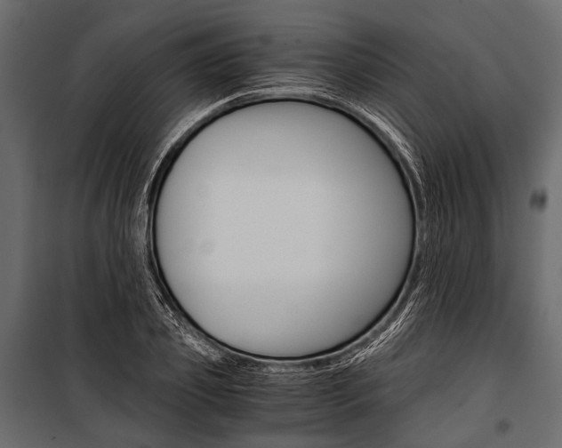 X0000100930933200806241134