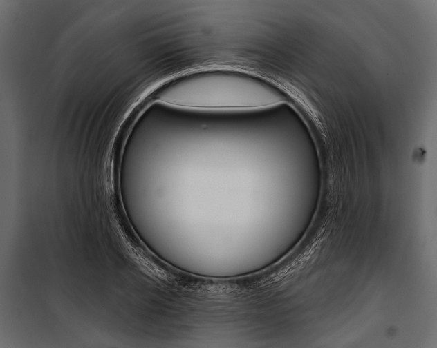 X0000100930934200806241134