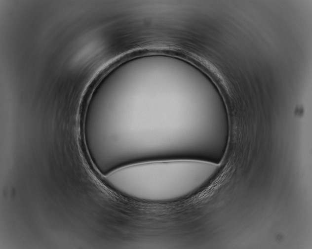 X0000100930935200806241134