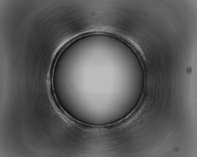 X0000100930936200806241134