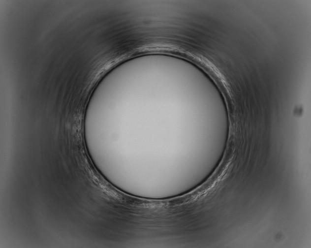 X0000100930937200806241134