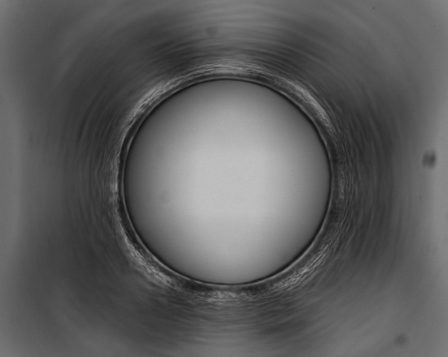 X0000100930938200806241134