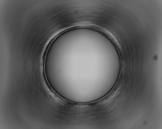 X0000100930939200806241134