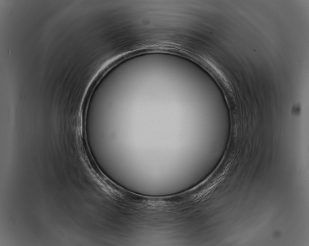 X0000100930940200806241134