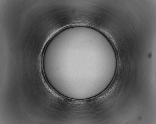 X0000100930941200806241134