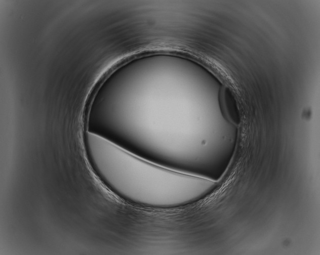 X0000100930942200806241134