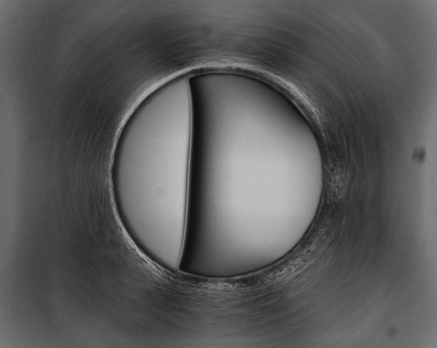 X0000100930943200806241134