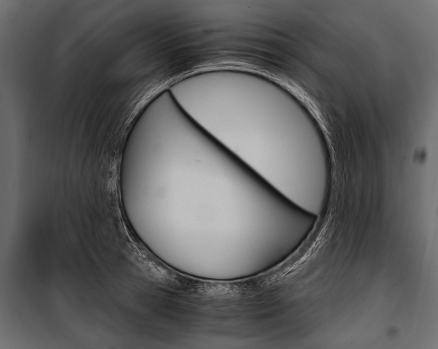 X0000100930945200806241134