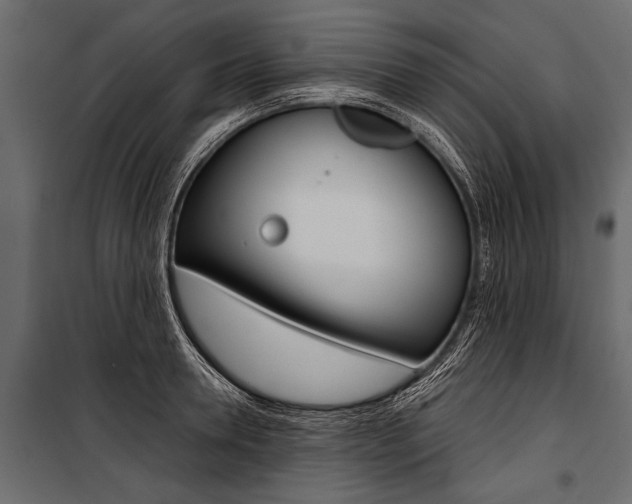 X0000100930946200806241134