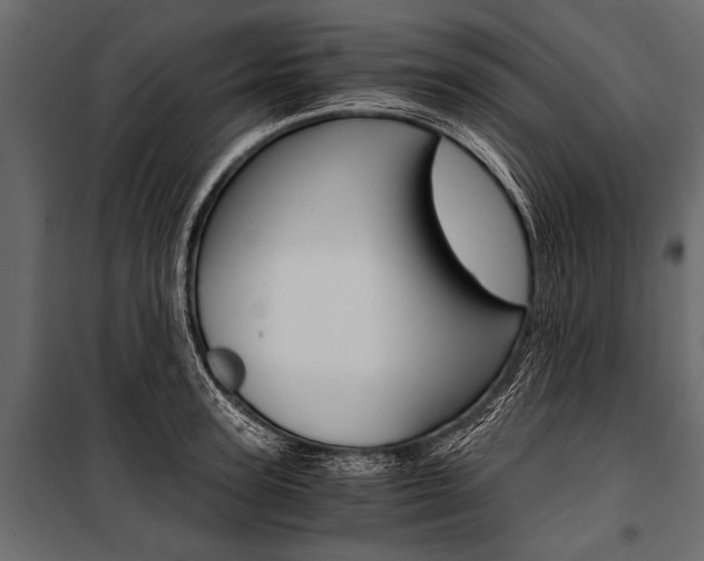 X0000100930947200806241134