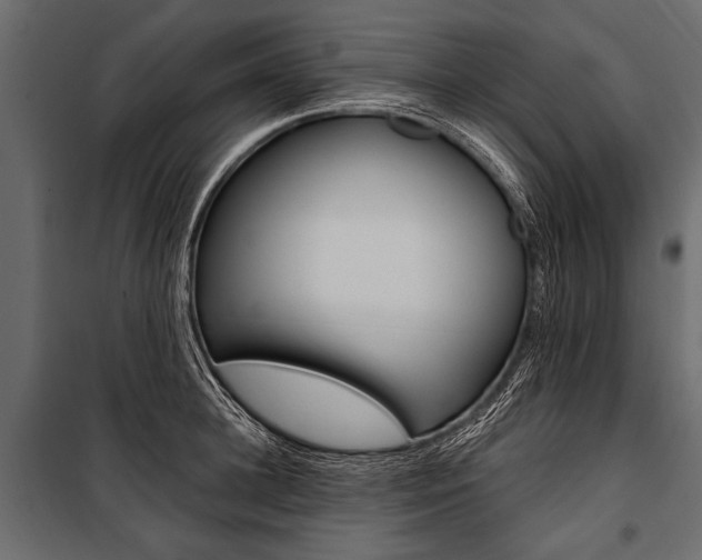 X0000100930948200806241134