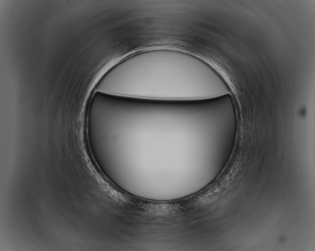 X0000100930949200806241134