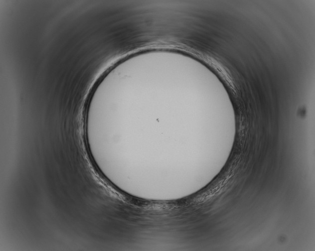 X0000100930950200806241134