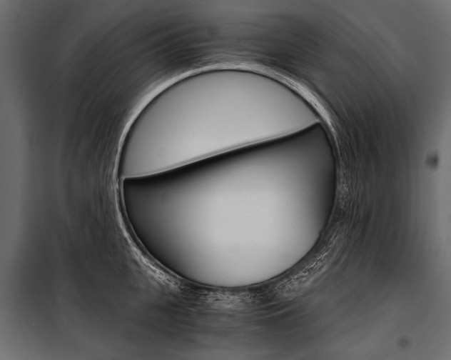 X0000100930951200806241134