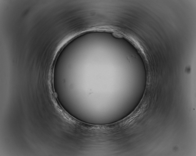 X0000100930952200806241134