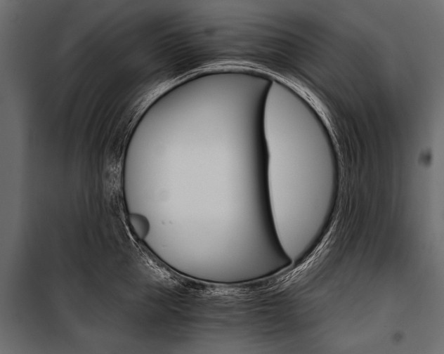 X0000100930953200806241134