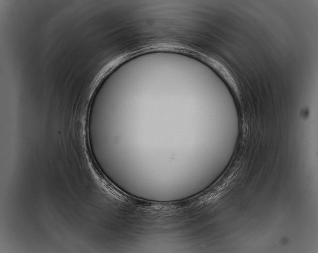 X0000100930954200806241134