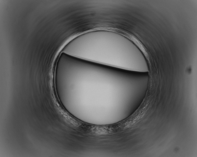 X0000100930955200806241134