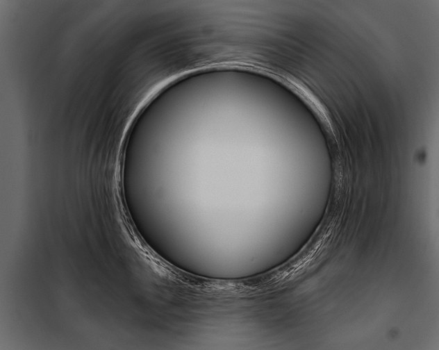 X0000100930956200806241134